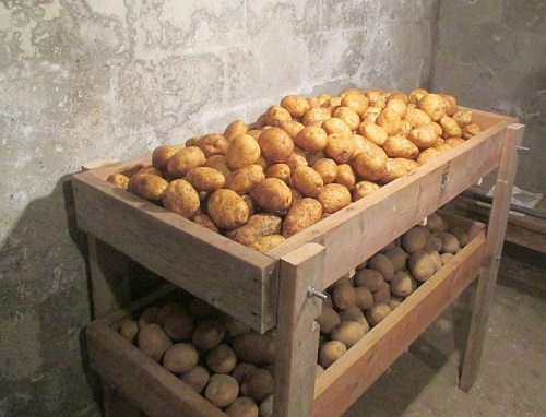 уборка картофеля 